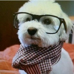 Meet your Posher, Terrence